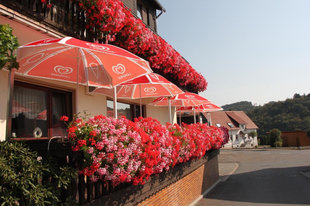 Landgasthof Hotel Sauer Willingen  Exterior foto